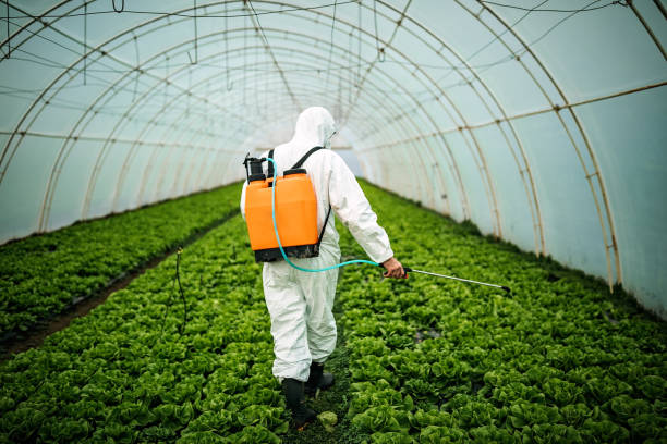 Best Best Pest Control Companies  in Groveport, OH