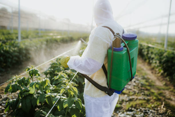 Best Affordable Pest Control Services  in Groveport, OH